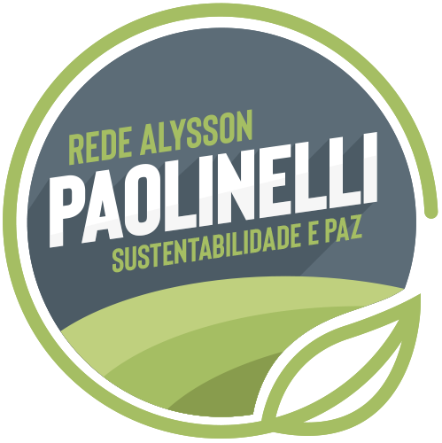 Rede Alysson Paolinelli logo